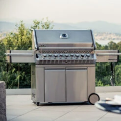 Napoleon Barbecue Gaz Napoléon Prestige Pro 665 SIBPSS 5 Brûleurs + 1 Latéral + 1 Arrière -Pas Cher Barbecue & Brasero Magasin barbecue gaz napoleon pro 665 infrarouge inox 5