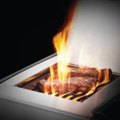 Napoleon Barbecue Gaz Napoléon Rogue SE 625 SIBPSS 5 Brûleurs + 1 Latéral + 1 Arrière 11 Napoleon Barbecue Gaz Napoléon Rogue SE 625 SIBPSS 5 Brûleurs + 1 Latéral + 1 Arrière -Pas Cher Barbecue & Brasero Magasin bbq gaz napoleon rogue rse625 rsibpss inox bruleur arriere 3