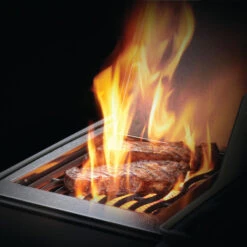 Napoleon Barbecue Gaz Napoléon Rogue XT 425 SIBPK 3 Brûleurs + 1 Latéral 20 Napoleon Barbecue Gaz Napoléon Rogue XT 425 SIBPK 3 Brûleurs + 1 Latéral -Pas Cher Barbecue & Brasero Magasin bbq gaz napoleon rogue rxt425 sibpk 9