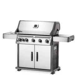 Napoleon Barbecue Gaz Napoléon Rogue XT 625 SIBPSS 5 Brûleurs + 1 Latéral 21 Napoleon Barbecue Gaz Napoléon Rogue XT 625 SIBPSS 5 Brûleurs + 1 Latéral -Pas Cher Barbecue & Brasero Magasin bbq gaz napoleon rogue rxt625 sibpss inox 1