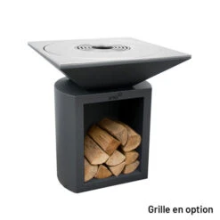 Braséro Plancha Artiss G2 Graphite 90 Cm Plaque Inox 13 Braséro Plancha Artiss G2 Graphite 90 Cm Plaque Inox -Pas Cher Barbecue & Brasero Magasin brasero artiss g2 graphite plancha acier inoxydable 4