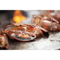 Braséro Plancha OFYR Classic 100 Acier Corten -Pas Cher Barbecue & Brasero Magasin brasero plancha ofyr classic 100 100 8