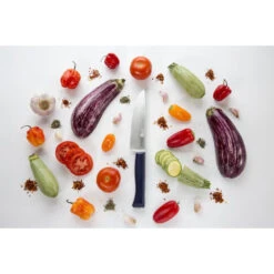 Couteau Opinel N°217 Petit Chef Intempora -Pas Cher Barbecue & Brasero Magasin couteau opinel n217 peit chef intempora 3