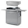 Ensemble Plancha électrique Fonte Forge Adour Premium E60 Inox Sur Chariot + Capot
