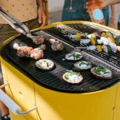 Plancha Demi-lune Aluvy Pour Lulu Et Marcel Fonte émaille -Pas Cher Barbecue & Brasero Magasin plancha demi lune fonte emaille aluvy pour lulu et marcel 2