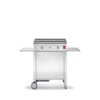 Ensemble Plancha Gaz Inox Planet Chef 55 Lisse Sur Chariot